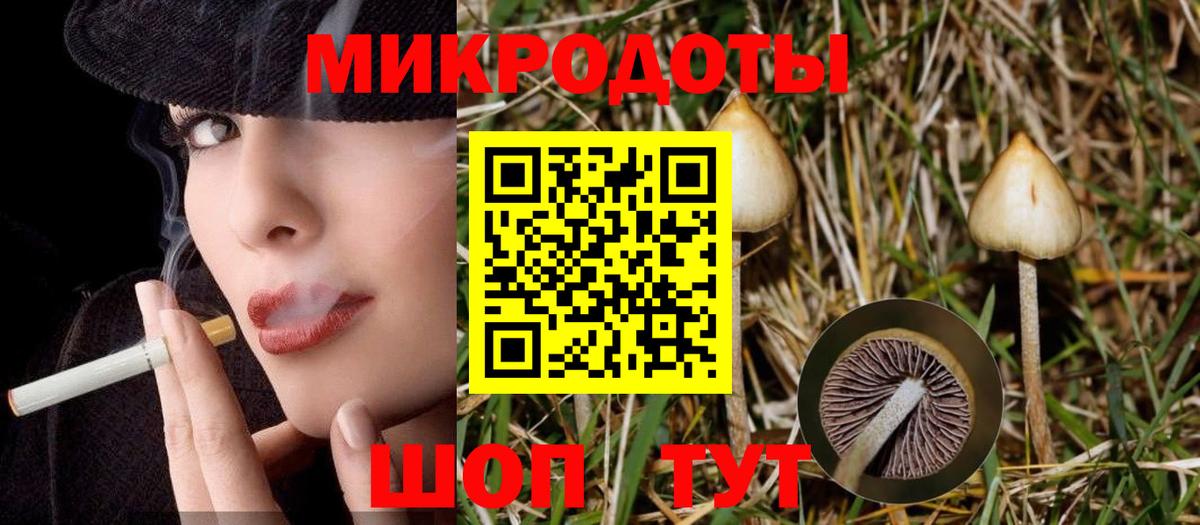 Ржев  Галлюциногенные грибы Psilocybe  Вход с VPN 